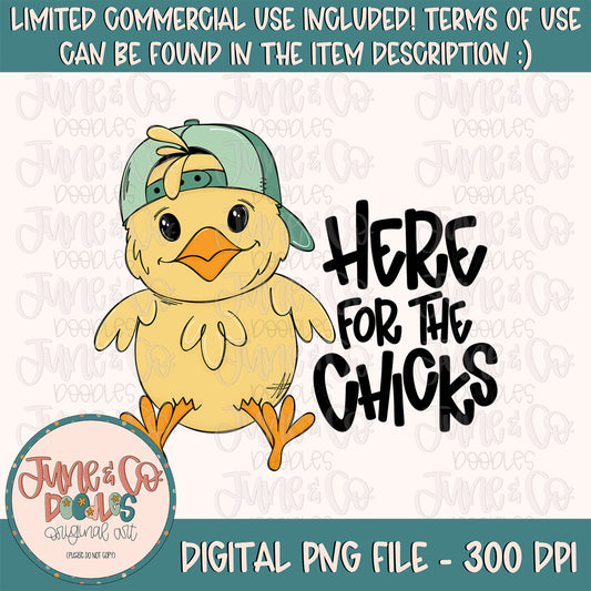 Here For The Chicks PNG| Cool Easter Chick In Hat Sublimation File| Boy's Spring Shirt Design| Hand Sketched Printable Art| Instant Download