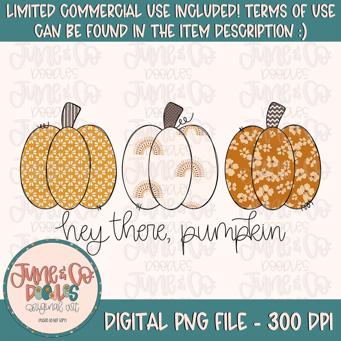 Hey There Pumpkin PNG| Boho Pumpkin Trio Sublimation File| Autumn Season Shirt Design| Hand Drawn Printable Art| Instant Download