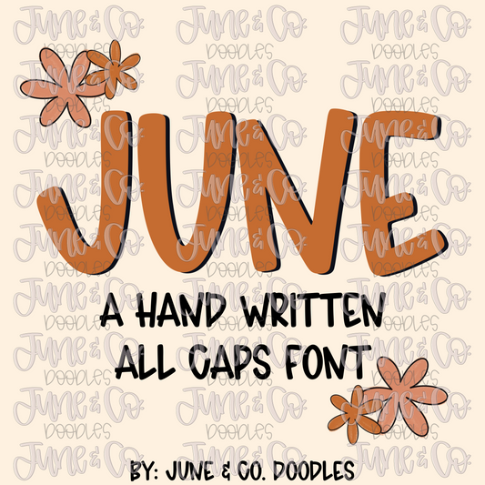 June Font| Hand Written All Caps Font| Funky Hand Lettering| OTF File| TTF File| Instant Download