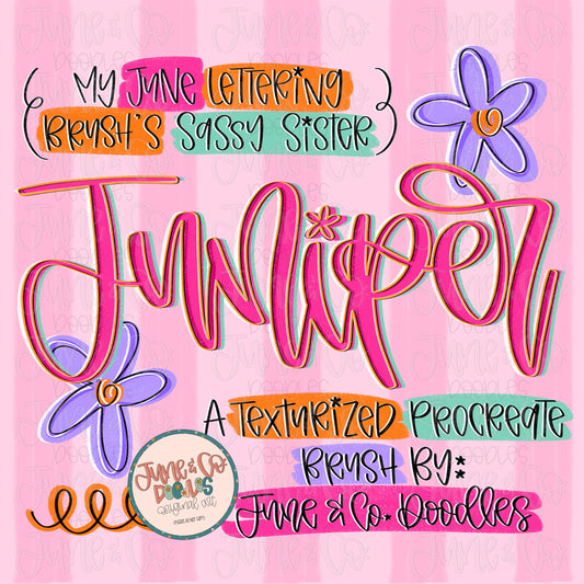 Juniper Procreate Brush| Textured Hand Lettering Brush For Procreate| Modern Calligraphy Brush| Gritty Outline Brush File